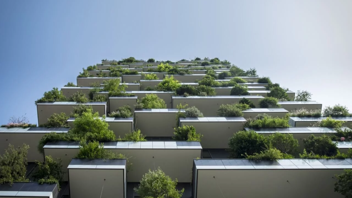 Verticale tuin